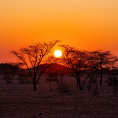 syndae - episode 788