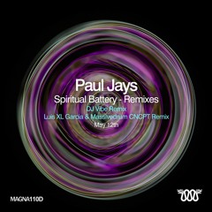 Paul Jays - Spiritual Battery - DJ Vibe Remix