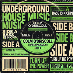 Colm ODriscoll - bass is kickin'