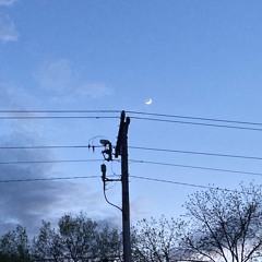 lets go +duke (oliver01)