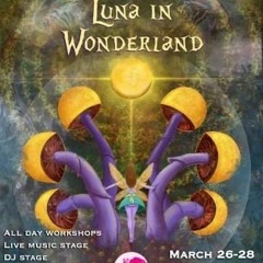 VVafflehouse Live @ Luna In Wonderland