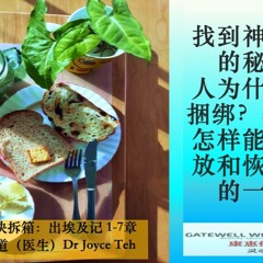 出埃及记1 - 7章 - 找到神行神迹得秘诀！人为什么会被捆绑？怎么样能够得释放？郑乙蒨传道（医生）Dr Joyce Teh 210307