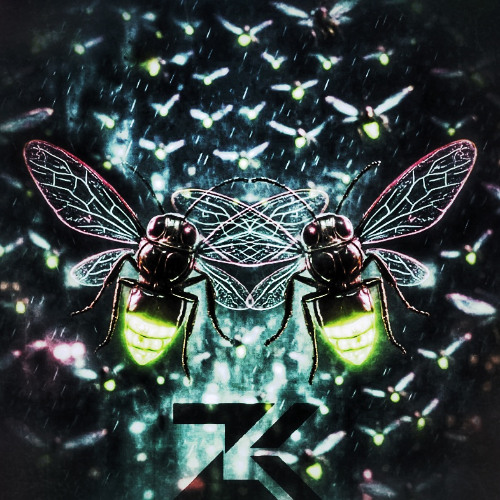 Zolkraft 453 Drivin Prog House MiX