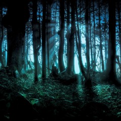 The Dark Forest