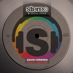 David Herrero - Baby That (Snnipet)