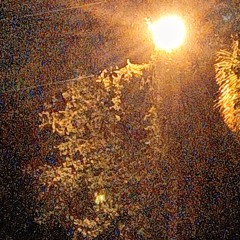 Silver Quill - DEATH RAY