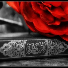 Quran With Urdu Translation (Recitator: Mishary Rashid Alafasy, Translation: Mufi Taqi Usmani)