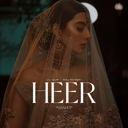 Heer Mashup - DJ Sumit Rajwanshi
