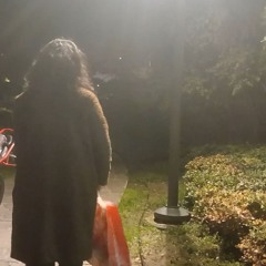 Life after 20 sucks -demo-