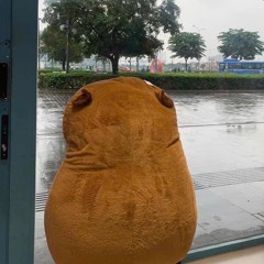 List nhạc tẩm đớ 🙃