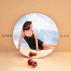 Elissa - Shou El Hal  إليسا - شو الحل.m4a