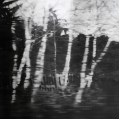 rhuthmós