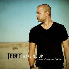 Wake Me Up (feat. Emerson Drive)