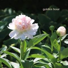 golden hour