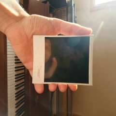 Polaroïds