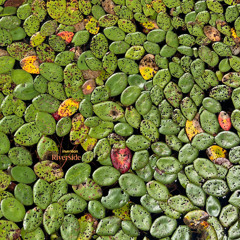 invention_ - Riverside (Full album)