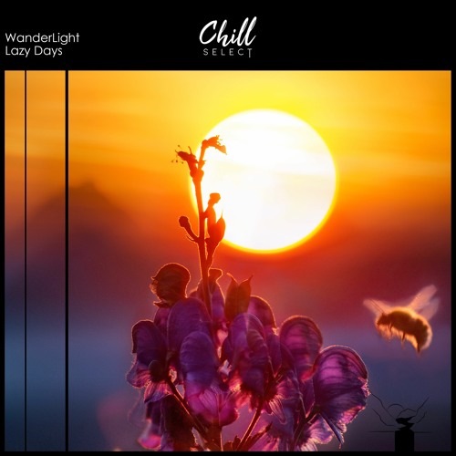 WanderLight - Lazy Days