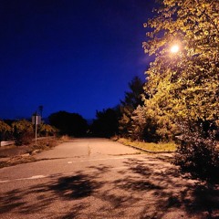 Backrooms: to watch you burn.