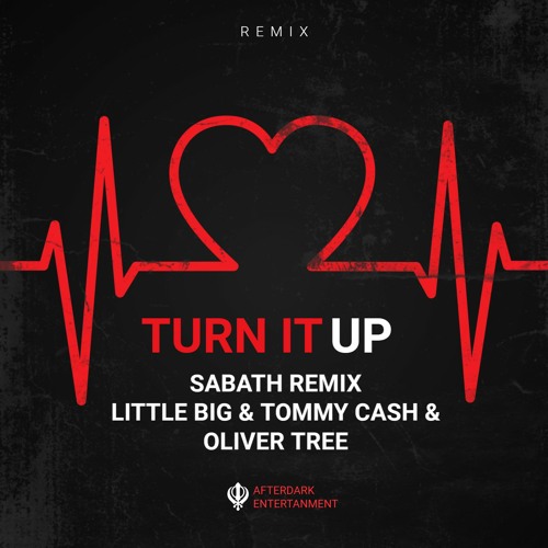 Turn It Up (Remix)