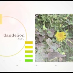 dandelion