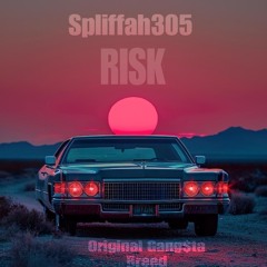 Risk x Spliffah305