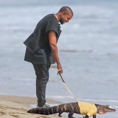 Devin M - Gator Ye Demo