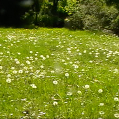 waiting for lu (monotron master)