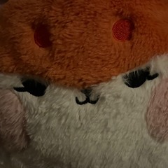 Diary Of A Mad Man FloofTheFox Re-Remix of Jami Dodger's Remix