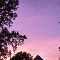 goosebumps— eve and cinya