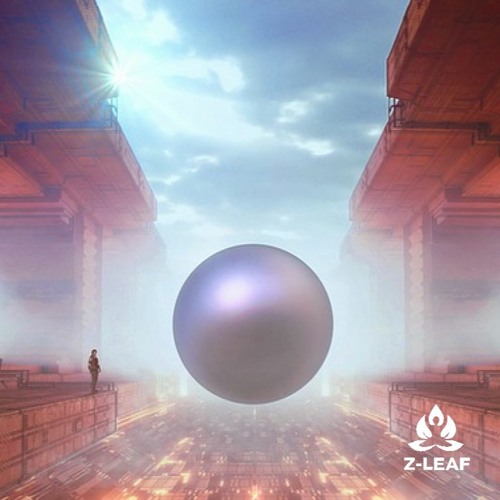 Z-LEAF - Acid Connection