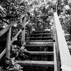 arboretum. podcast 11: Kaja