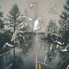 Wrong Way