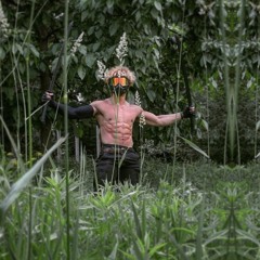 ELVEN WARRIOR | FOREST HUNT(FABLE|FOREST|HUNT|MUSIC)