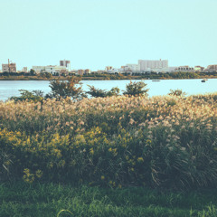 遠出 / A Journey Out