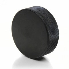 Hockey Puck