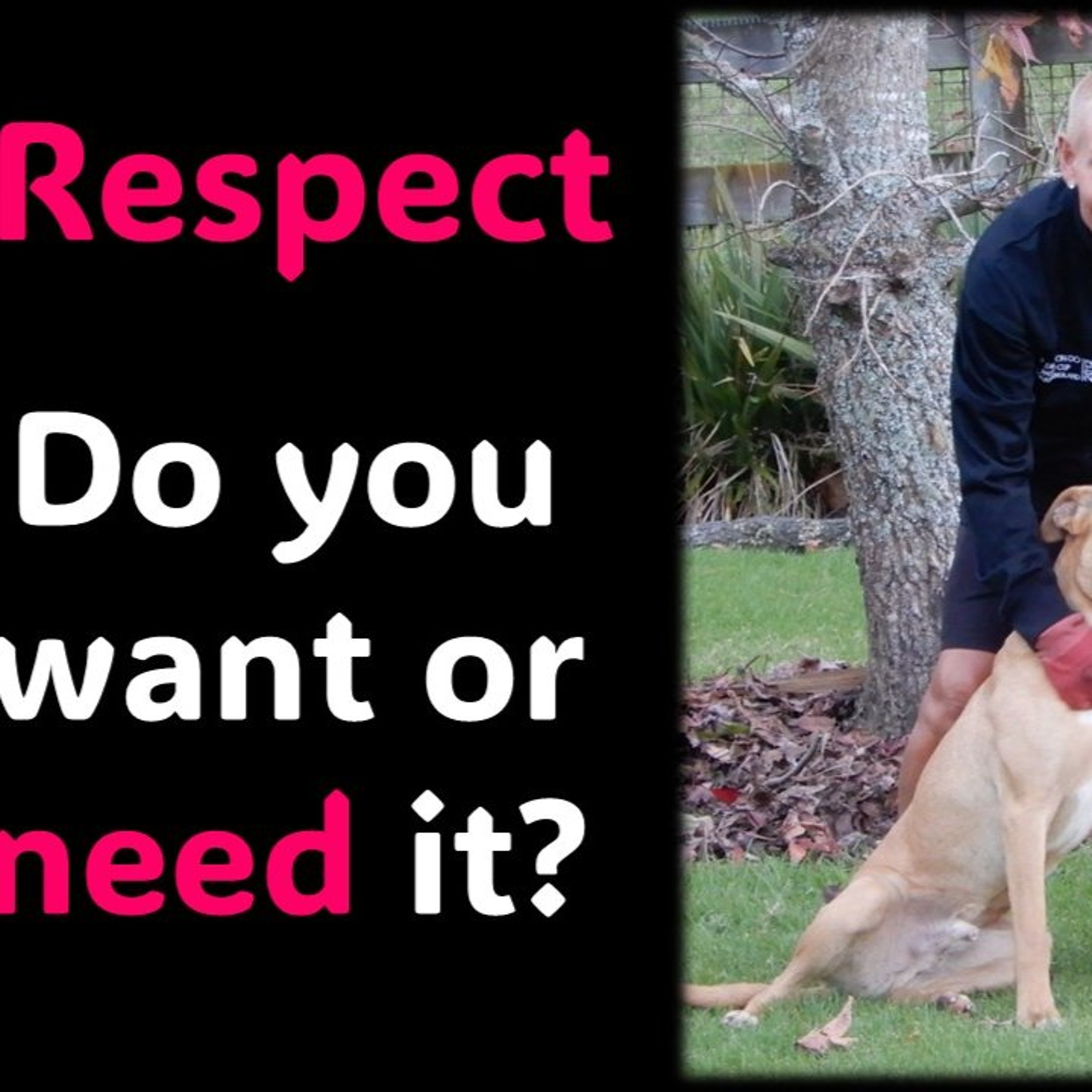 RESPECT…Do you want or need it episode artwork