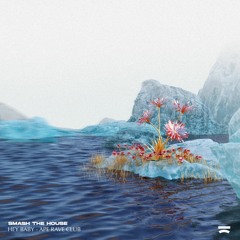 Ape Rave Club - Hey! Baby