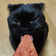bleh :3