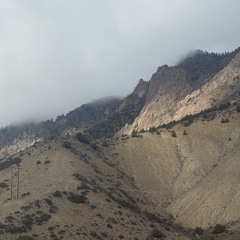 without u (Holywatr Cover)