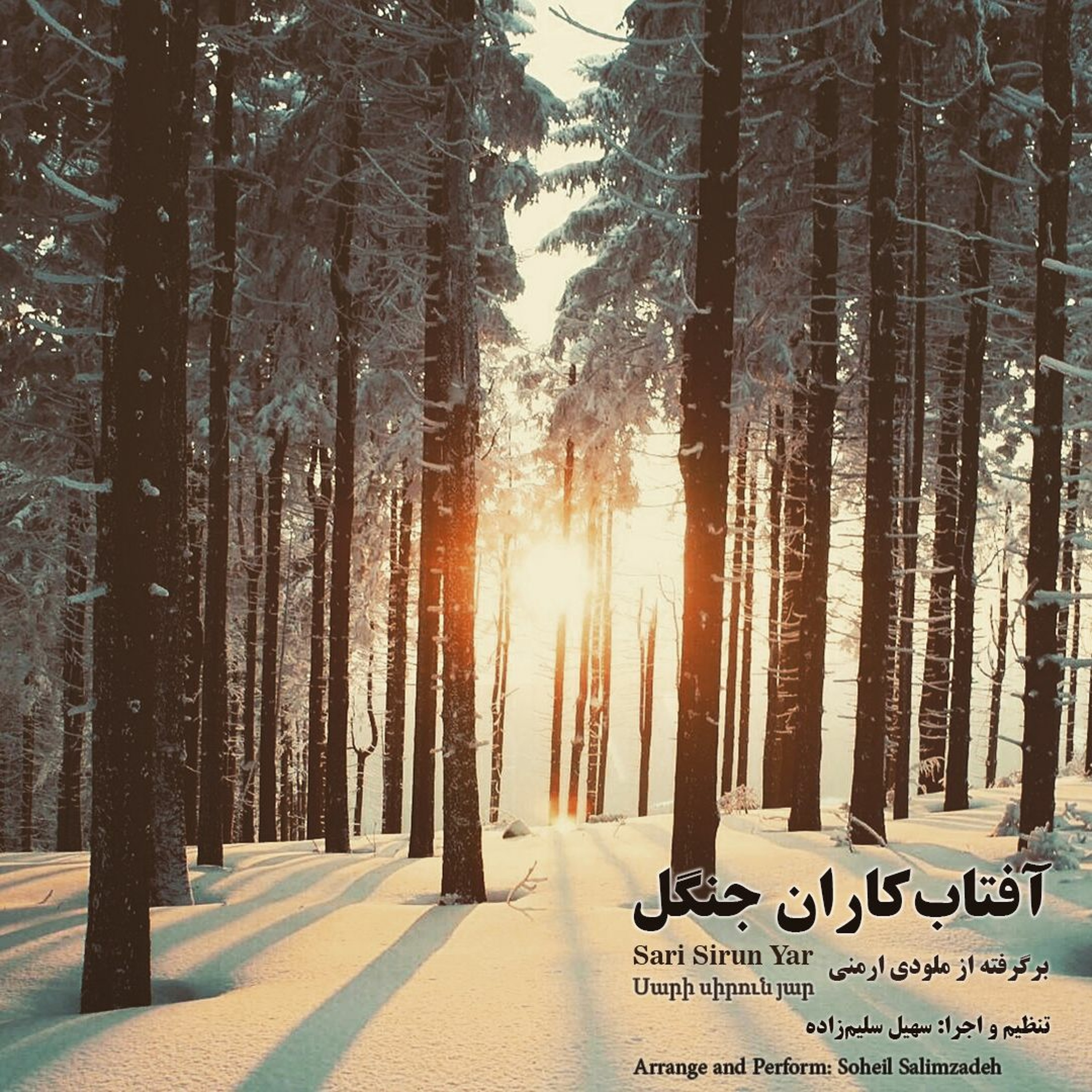 Soheil Salimzadeh