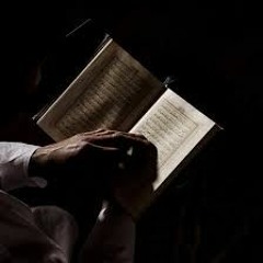وَلَا يُرَدُّ بَأْسُنَا عَنِ الْقَوْمِ الْمُجْرِمِينَ | أحمد النفيس
