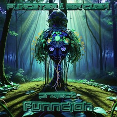 Funndjah - The Shwamba (original mix)