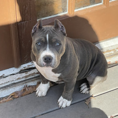 COVID-19  - December 16, 2020 at 1-28-59 AM - iPad (2)