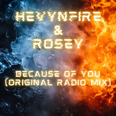 HEVYNFIRE & ROSEY - Because Of You (Radio Mix)