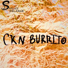 Ckn Burrito         Percussive Plucky Beat