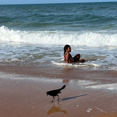 all_that_glitters_aint_gold