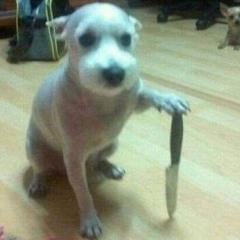 TODY - zmiznut z prievidze (old but gold $h!t)