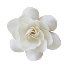 A Very Special Digital Circus Song