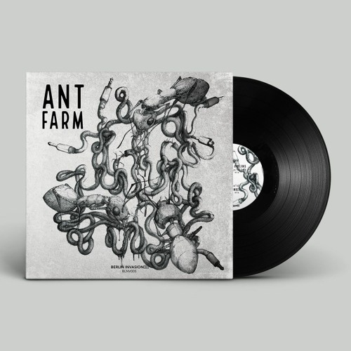 BLNV005 - Ant Farm