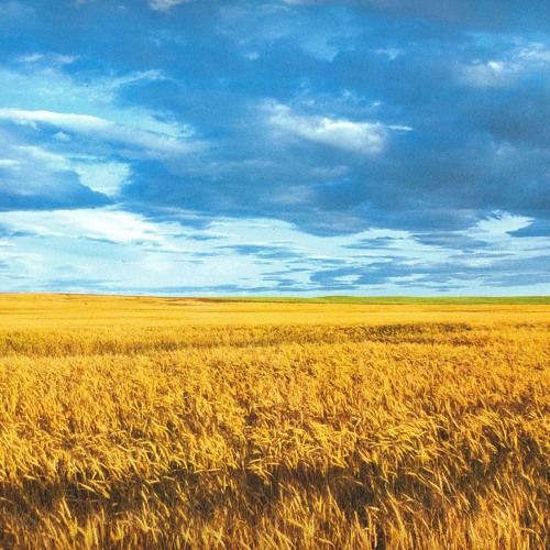 Stream Dub Buk - Son of Steppe/Сын Степей by Терміт Хібаненко | Listen ...